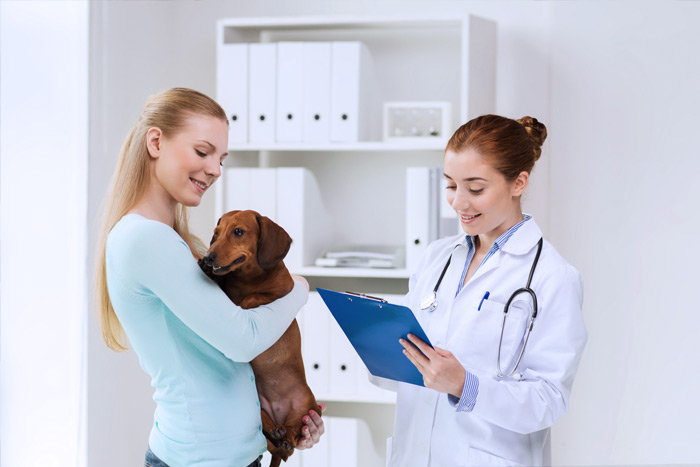 ЭЦП для оформления ветеринарных сертификатов (ГИС Меркурий) в Саратове